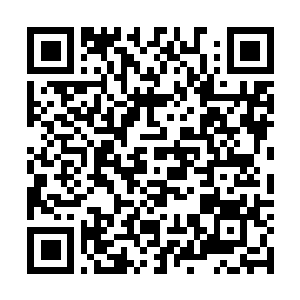 Lien vers votre campagne QRCode - Collecte de fonds