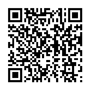 Lien vers votre campagne QRCode - Collecte de fonds