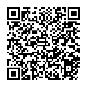 Lien vers votre campagne QRCode - Collecte de fonds