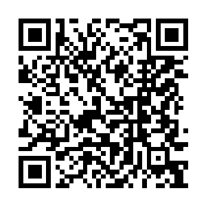 Lien vers votre campagne QRCode - Collecte de fonds