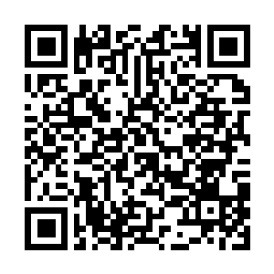 Lien vers votre campagne QRCode - Collecte de fonds