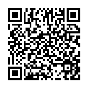 Lien vers votre campagne QRCode - Collecte de fonds