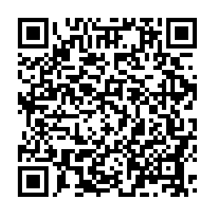 Lien vers votre campagne QRCode - Collecte de fonds