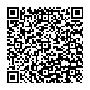 Lien vers votre campagne QRCode - Collecte de fonds