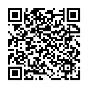 Lien vers votre campagne QRCode - Collecte de fonds