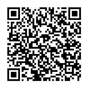 Lien vers votre campagne QRCode - Collecte de fonds
