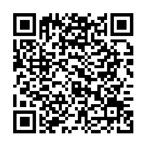 Lien vers votre campagne QRCode - Collecte de fonds