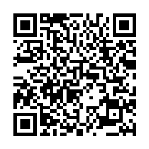 Lien vers votre campagne QRCode - Collecte de fonds