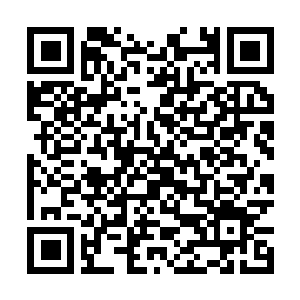 Lien vers votre campagne QRCode - Collecte de fonds