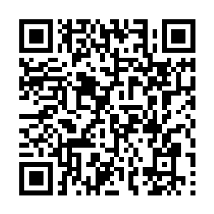Lien vers votre campagne QRCode - Collecte de fonds
