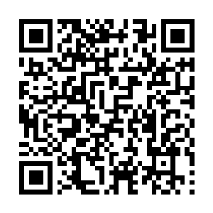 Lien vers votre campagne QRCode - Collecte de fonds