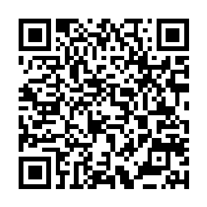 Lien vers votre campagne QRCode - Collecte de fonds