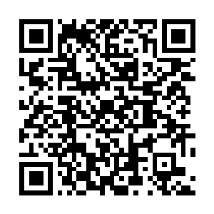 Lien vers votre campagne QRCode - Collecte de fonds