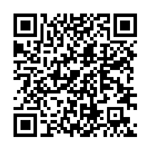 Lien vers votre campagne QRCode - Collecte de fonds