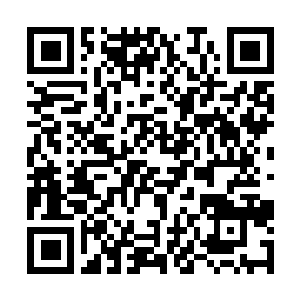 Lien vers votre campagne QRCode - Collecte de fonds