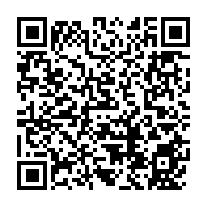 Lien vers votre campagne QRCode - Collecte de fonds