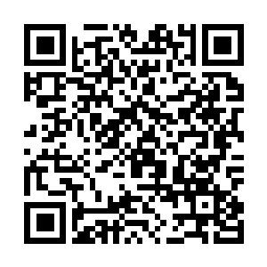 Lien vers votre campagne QRCode - Collecte de fonds