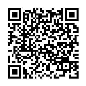 Lien vers votre campagne QRCode - Collecte de fonds