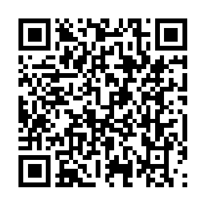 Lien vers votre campagne QRCode - Collecte de fonds