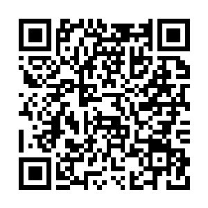 Lien vers votre campagne QRCode - Collecte de fonds