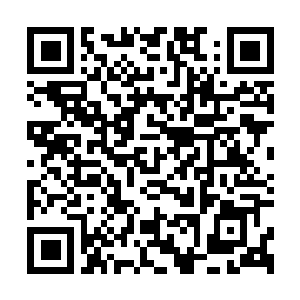 Lien vers votre campagne QRCode - Collecte de fonds