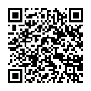 Lien vers votre campagne QRCode - Collecte de fonds