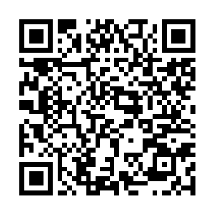 Lien vers votre campagne QRCode - Collecte de fonds