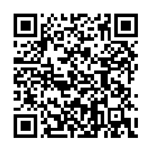 Lien vers votre campagne QRCode - Collecte de fonds