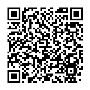 Lien vers votre campagne QRCode - Collecte de fonds
