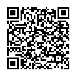 Lien vers votre campagne QRCode - Collecte de fonds