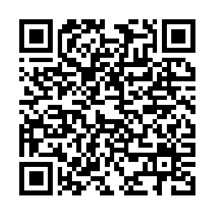 Lien vers votre campagne QRCode - Collecte de fonds