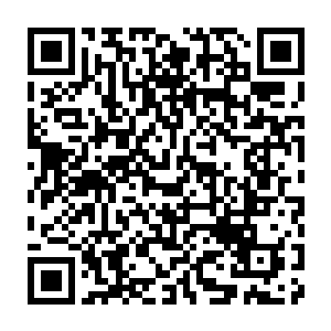Lien vers votre campagne QRCode - Collecte de fonds