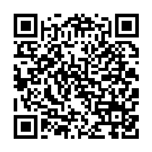 Lien vers votre campagne QRCode - Collecte de fonds