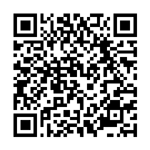 Lien vers votre campagne QRCode - Collecte de fonds