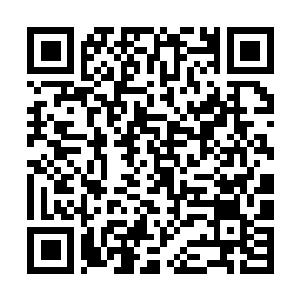 Lien vers votre campagne QRCode - Collecte de fonds