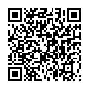 Lien vers votre campagne QRCode - Collecte de fonds