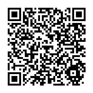 Lien vers votre campagne QRCode - Collecte de fonds