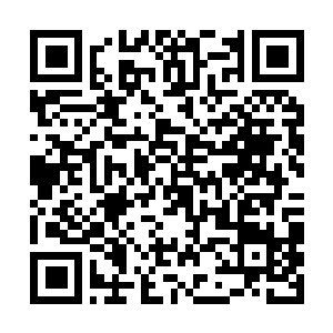 Lien vers votre campagne QRCode - Collecte de fonds