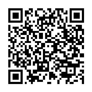 Lien vers votre campagne QRCode - Collecte de fonds
