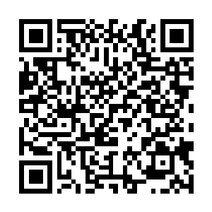 Lien vers votre campagne QRCode - Collecte de fonds