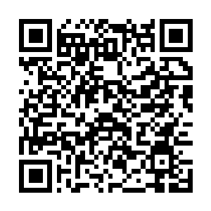 Lien vers votre campagne QRCode - Collecte de fonds