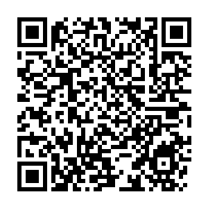 Lien vers votre campagne QRCode - Collecte de fonds