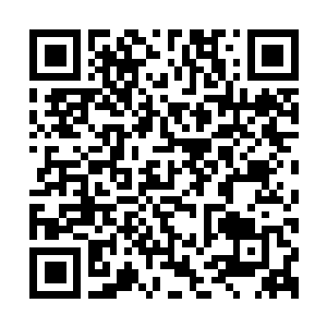 Lien vers votre campagne QRCode - Collecte de fonds