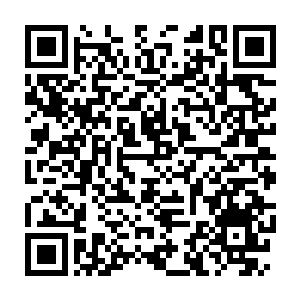 Lien vers votre campagne QRCode - Collecte de fonds