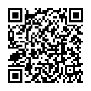 Lien vers votre campagne QRCode - Collecte de fonds