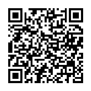 Lien vers votre campagne QRCode - Collecte de fonds