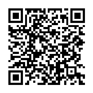 Lien vers votre campagne QRCode - Collecte de fonds
