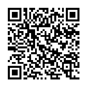 Lien vers votre campagne QRCode - Collecte de fonds