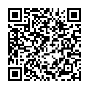 Lien vers votre campagne QRCode - Collecte de fonds