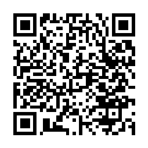 Lien vers votre campagne QRCode - Collecte de fonds